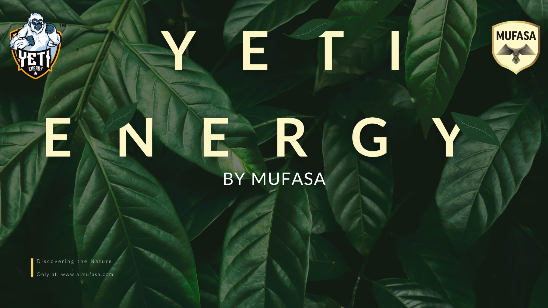 YETI Energy by MUFASA